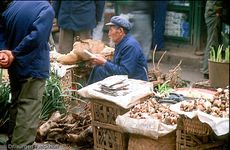 China (65 von 257).jpg